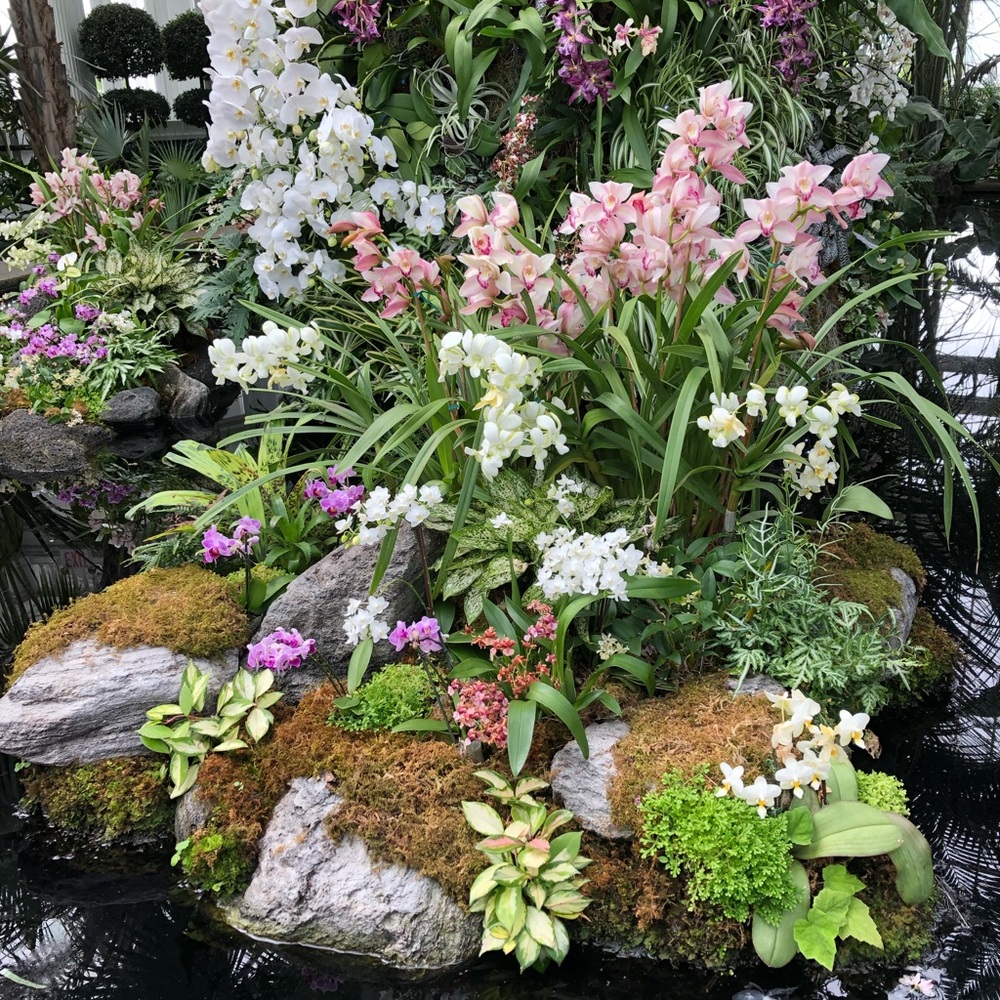 Meet your Posher, Jill